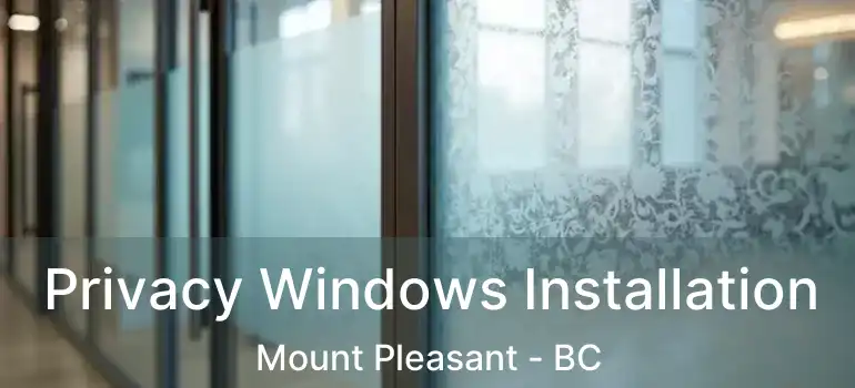  Privacy Windows Installation Mount Pleasant - BC
