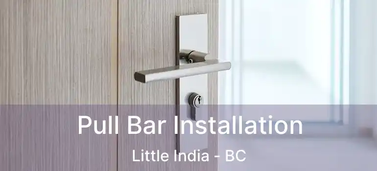  Pull Bar Installation Little India - BC