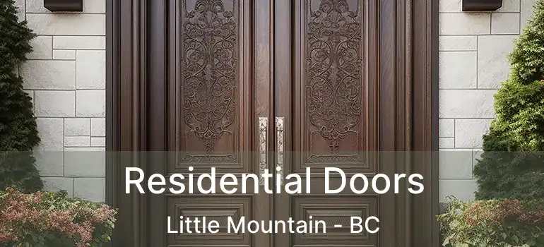  Residential Doors Little Mountain - BC