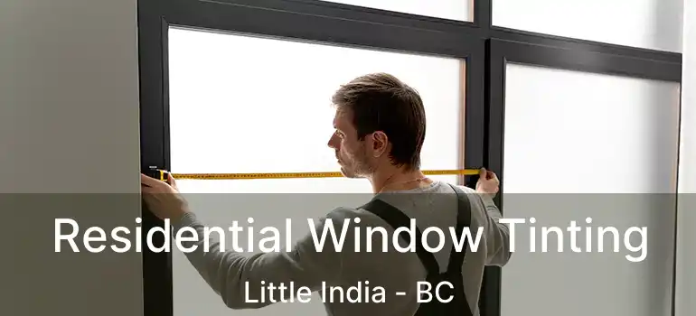  Residential Window Tinting Little India - BC