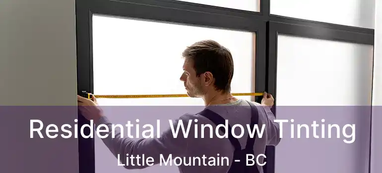  Residential Window Tinting Little Mountain - BC