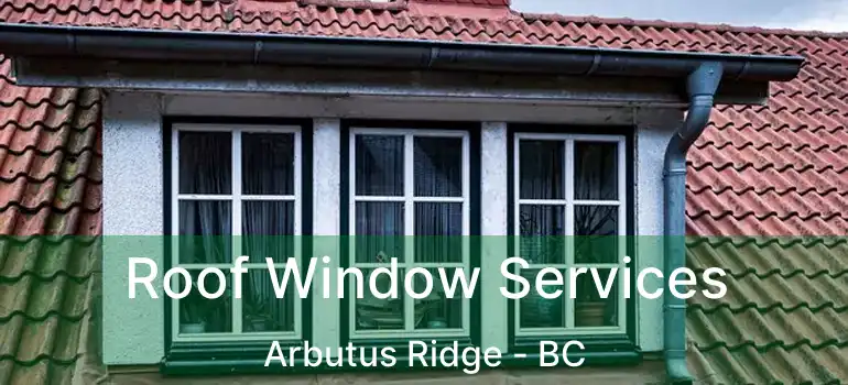  Roof Window Services Arbutus Ridge - BC