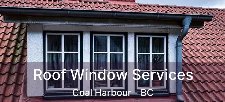  Roof Window Services Coal Harbour - BC