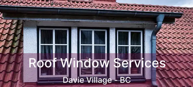  Roof Window Services Davie Village - BC