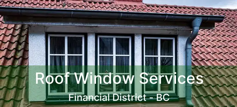  Roof Window Services Financial District - BC