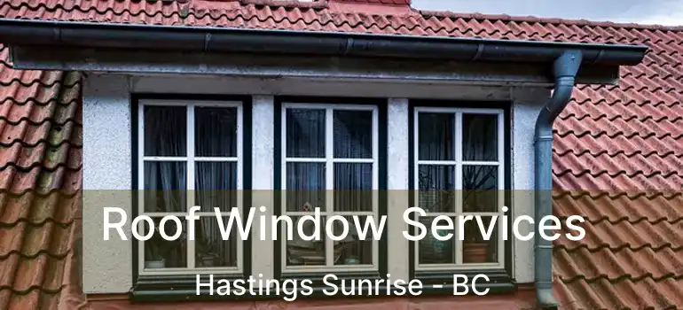  Roof Window Services Hastings Sunrise - BC