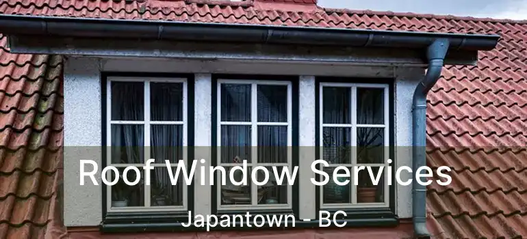  Roof Window Services Japantown - BC