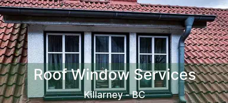  Roof Window Services Killarney - BC
