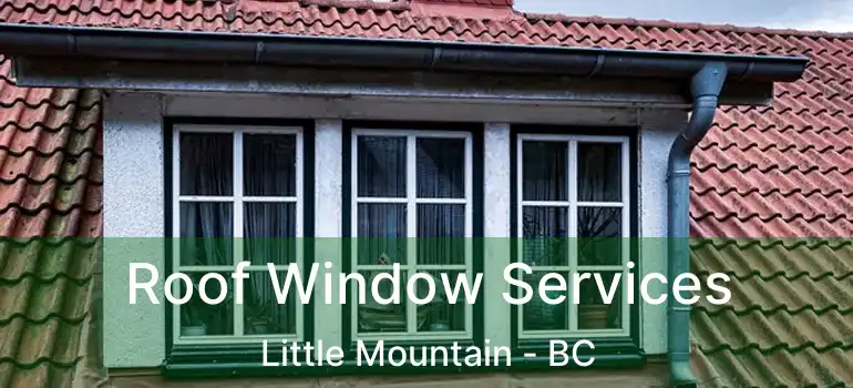  Roof Window Services Little Mountain - BC