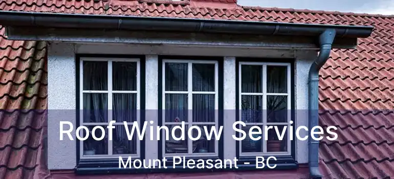  Roof Window Services Mount Pleasant - BC