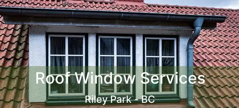  Roof Window Services Riley Park - BC