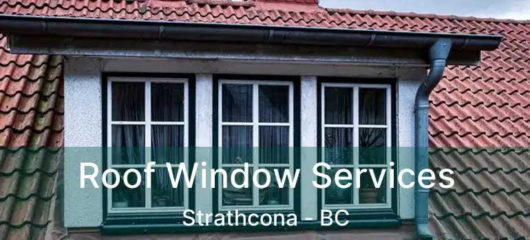  Roof Window Services Strathcona - BC
