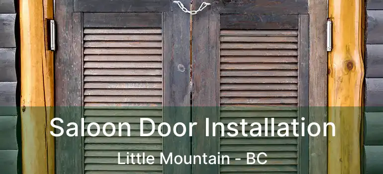  Saloon Door Installation Little Mountain - BC