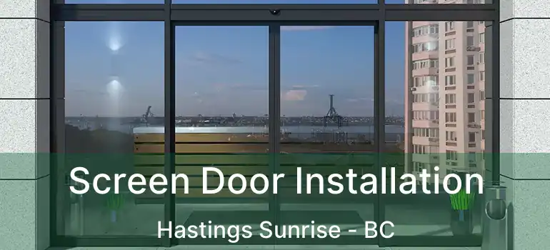 Screen Door Installation Hastings Sunrise - BC