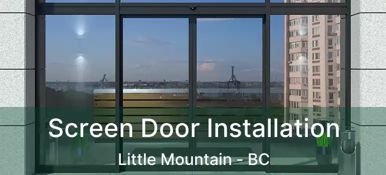  Screen Door Installation Little Mountain - BC