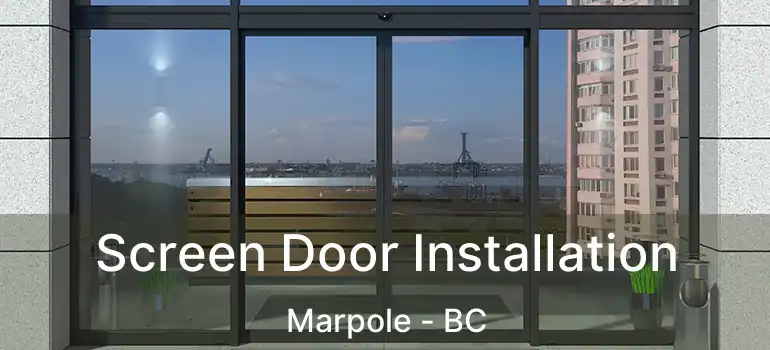  Screen Door Installation Marpole - BC