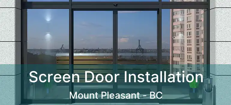  Screen Door Installation Mount Pleasant - BC