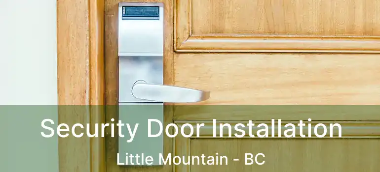  Security Door Installation Little Mountain - BC