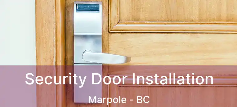  Security Door Installation Marpole - BC
