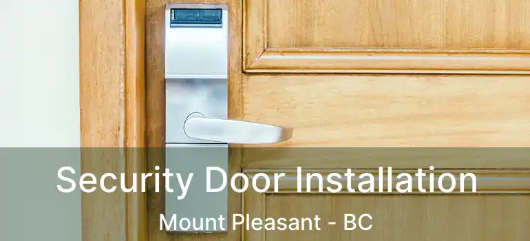  Security Door Installation Mount Pleasant - BC