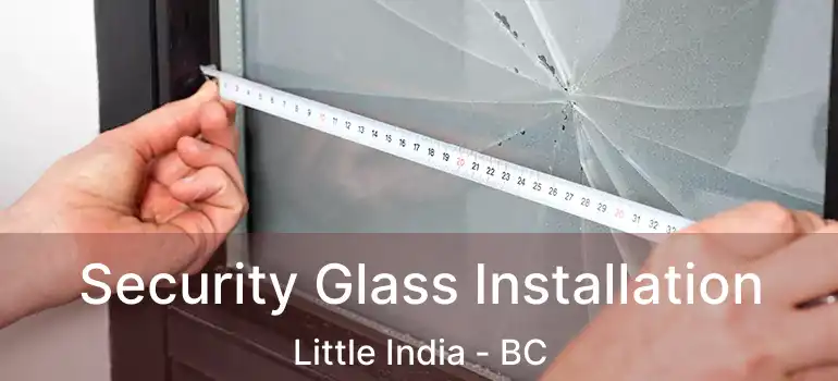  Security Glass Installation Little India - BC
