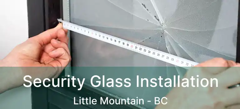  Security Glass Installation Little Mountain - BC