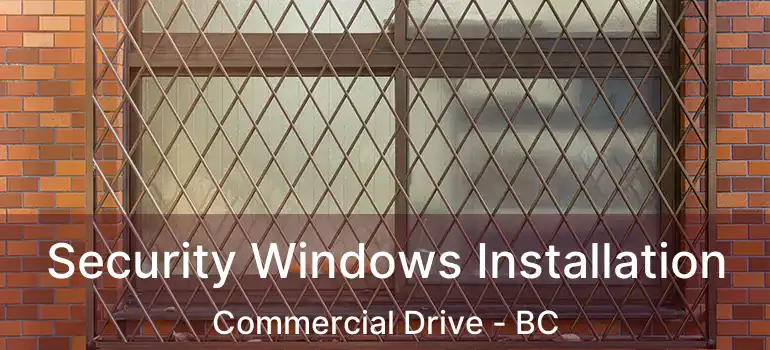  Security Windows Installation Commercial Drive - BC