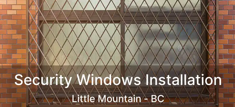  Security Windows Installation Little Mountain - BC
