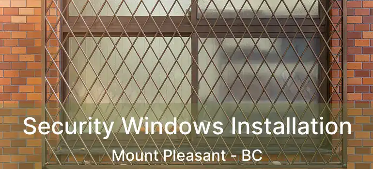  Security Windows Installation Mount Pleasant - BC