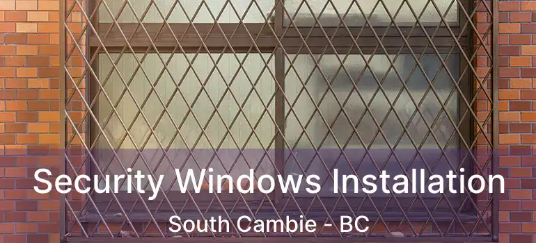  Security Windows Installation South Cambie - BC
