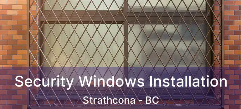  Security Windows Installation Strathcona - BC