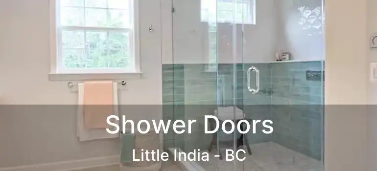  Shower Doors Little India - BC