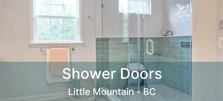  Shower Doors Little Mountain - BC
