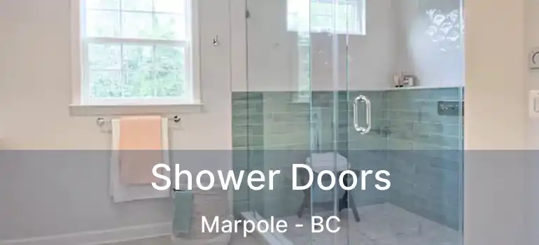  Shower Doors Marpole - BC