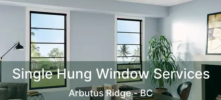  Single Hung Window Services Arbutus Ridge - BC