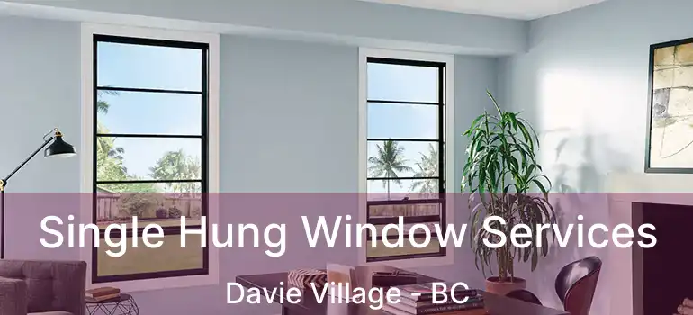  Single Hung Window Services Davie Village - BC