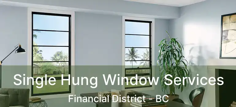  Single Hung Window Services Financial District - BC