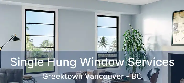  Single Hung Window Services Greektown Vancouver - BC
