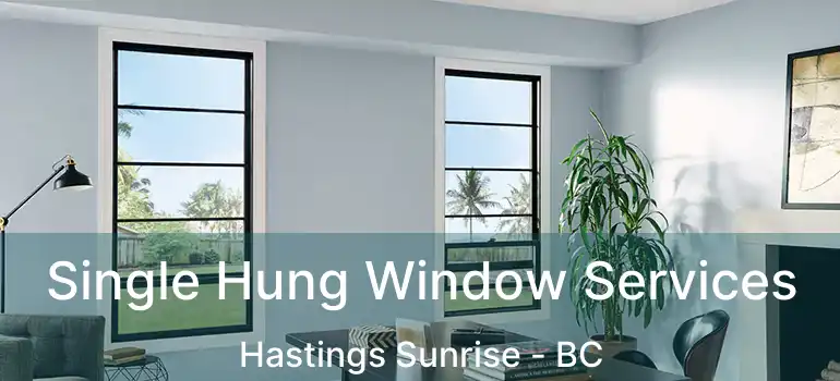  Single Hung Window Services Hastings Sunrise - BC