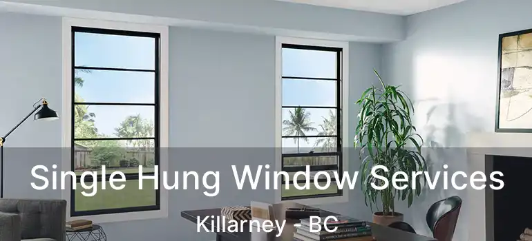  Single Hung Window Services Killarney - BC