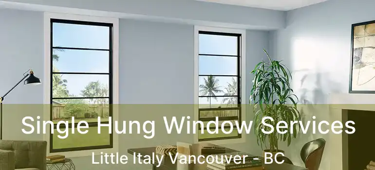  Single Hung Window Services Little Italy Vancouver - BC