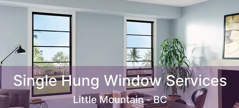  Single Hung Window Services Little Mountain - BC