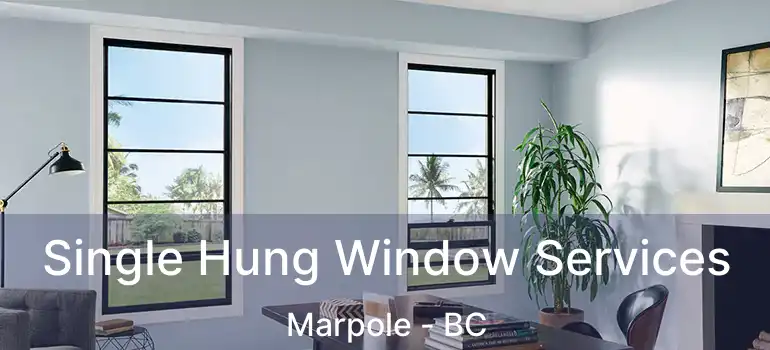  Single Hung Window Services Marpole - BC