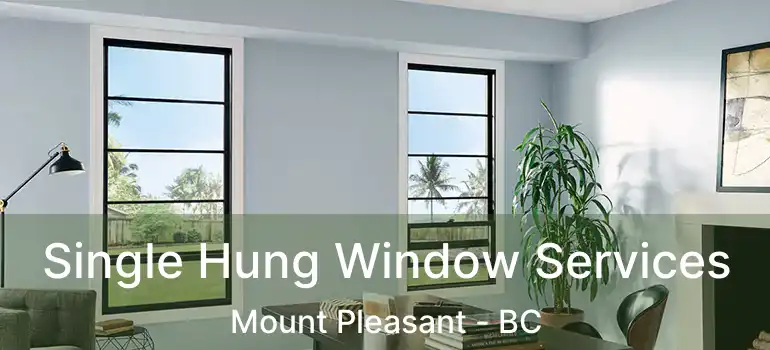  Single Hung Window Services Mount Pleasant - BC