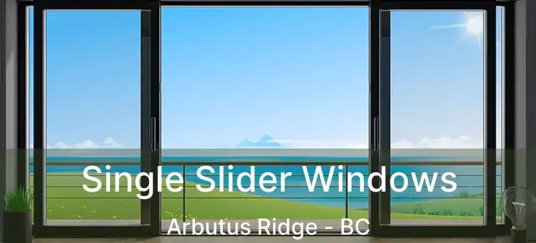  Single Slider Windows Arbutus Ridge - BC