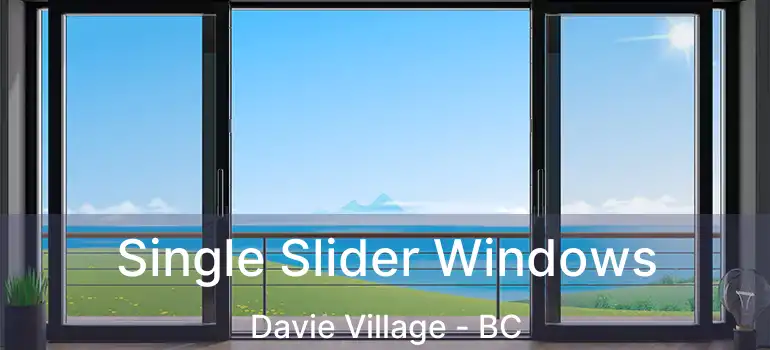  Single Slider Windows Davie Village - BC