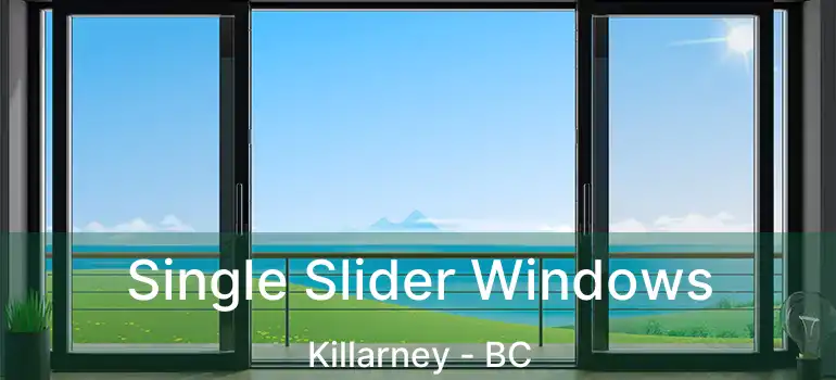  Single Slider Windows Killarney - BC