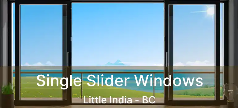  Single Slider Windows Little India - BC