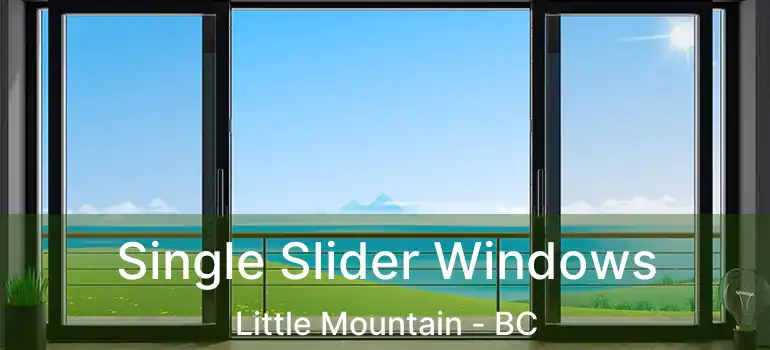  Single Slider Windows Little Mountain - BC
