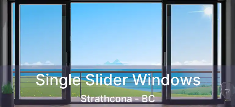  Single Slider Windows Strathcona - BC